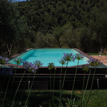 Bed and Breakfast Il Pino Vetulonia Exterior foto
